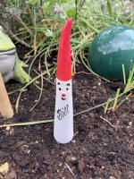 (Bild für) Wichtel Dill