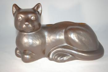 Katze Schoko