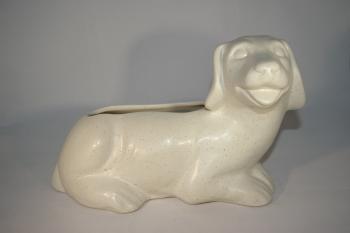 Hund Sahara